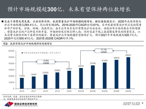 17年婴儿洗护报告
